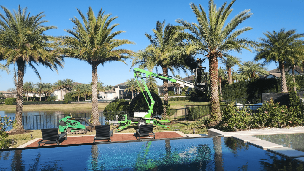 Tree Care Service Near Me