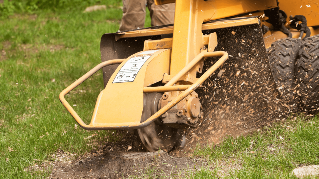 Stump Grinding in Orlando, FL