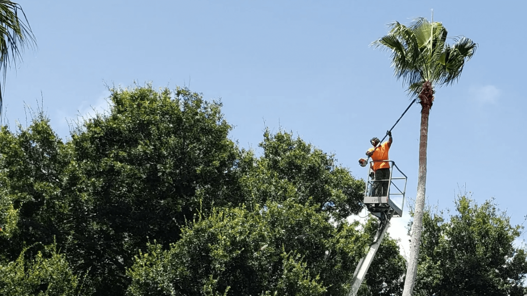 KEYS Tree Service Orlando