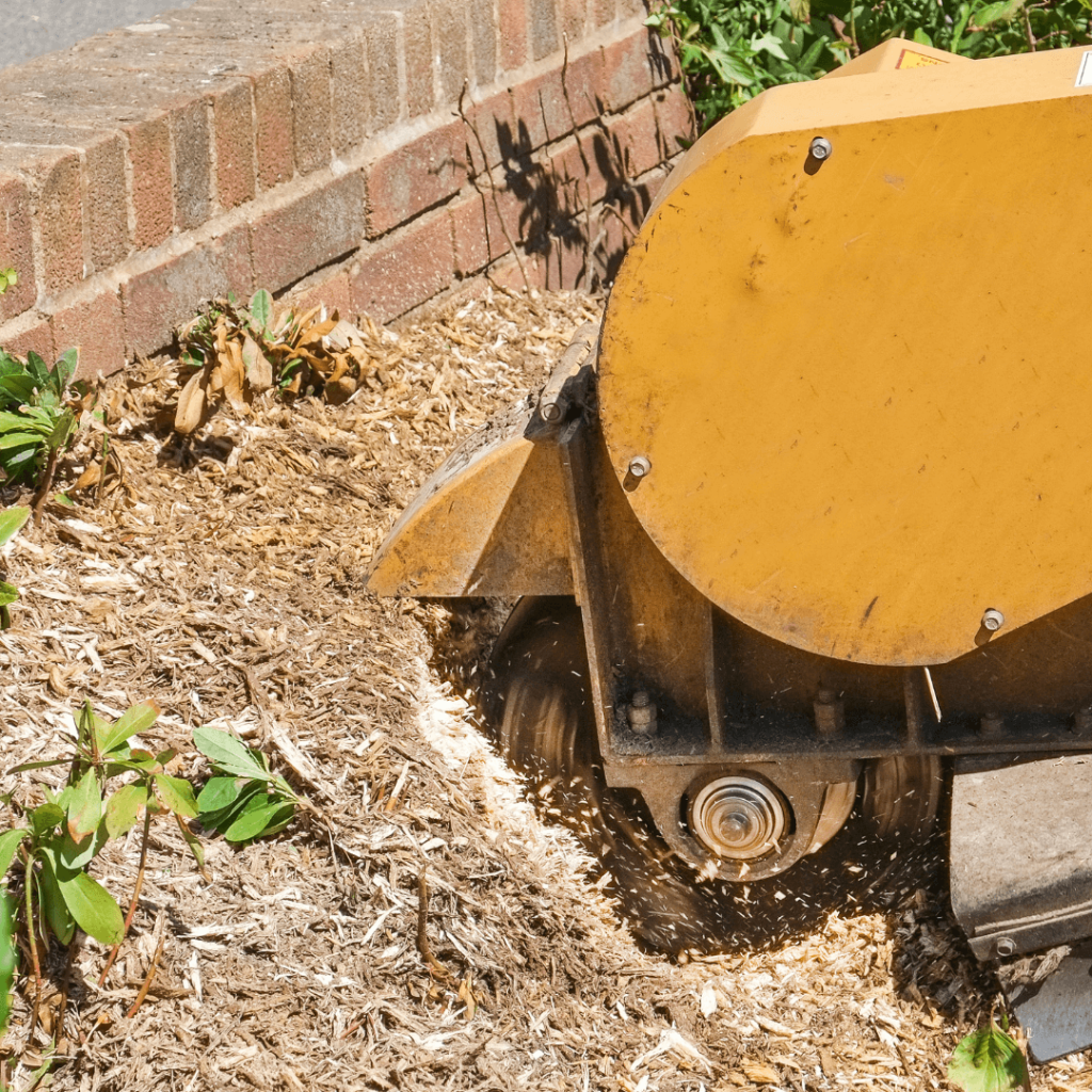 Stump Grinding