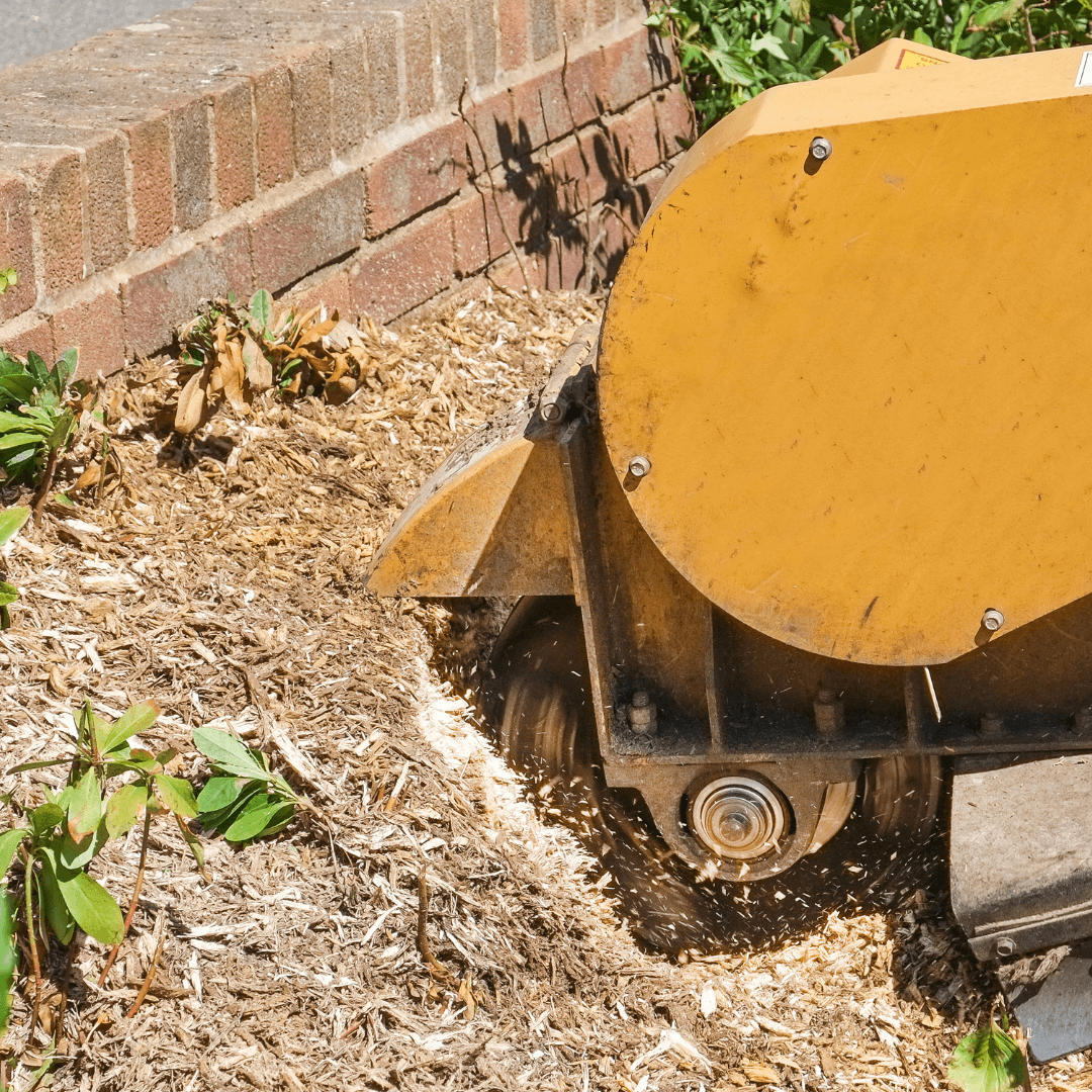 Stump Grinding