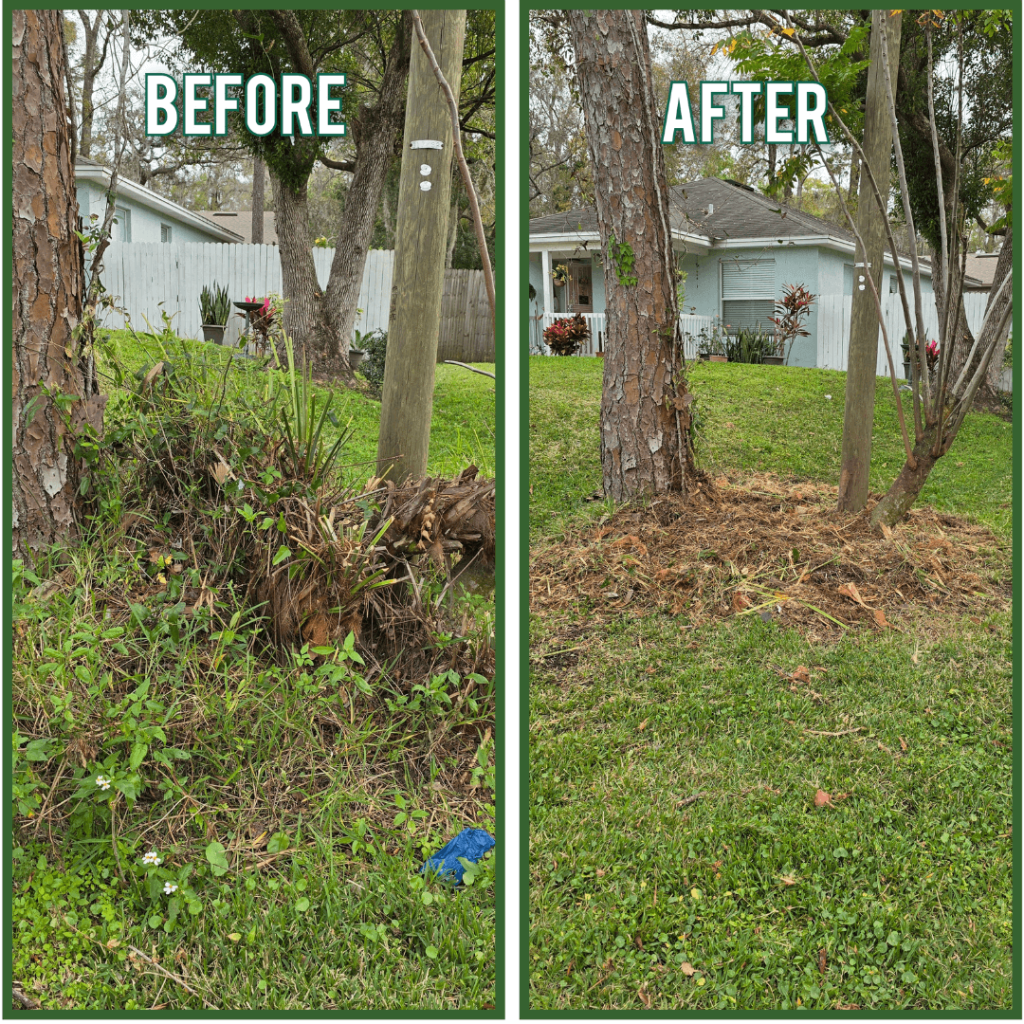 Stump Removal before & after