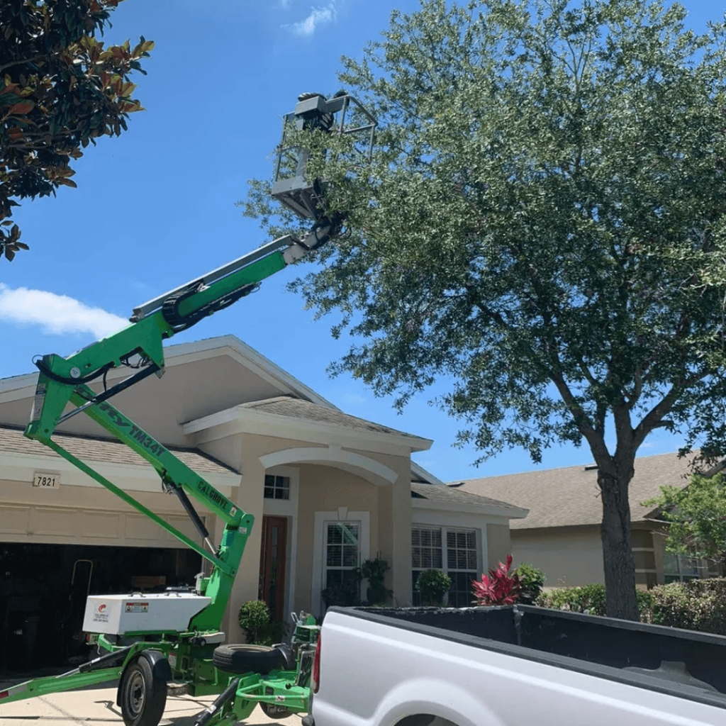 Tree Trimming Altamonte Springs