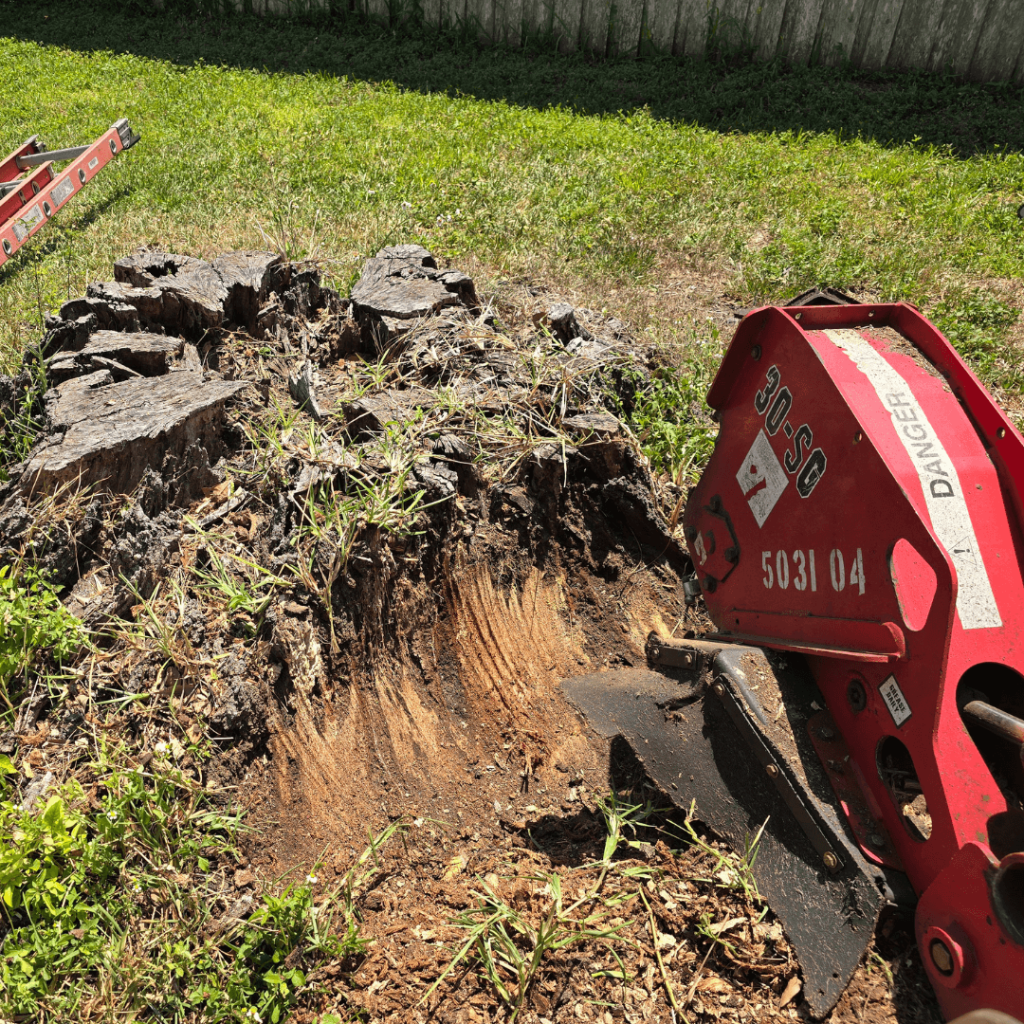 Stump Grinding Apopka