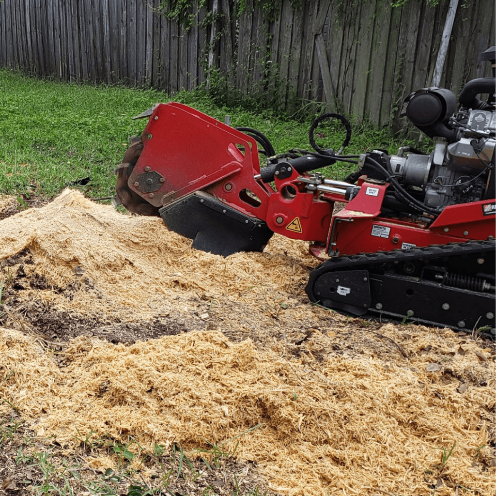 Stump Grinding Maitland