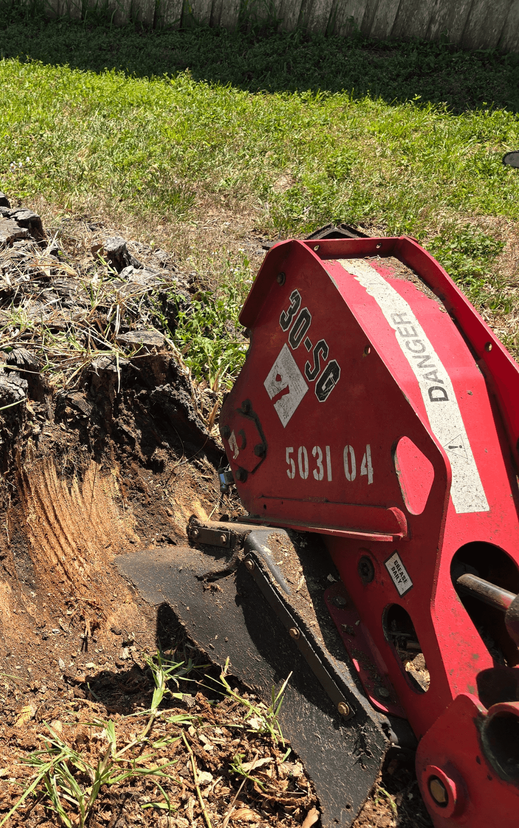 Stump Grinding Winter Park